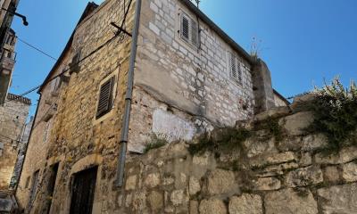 IMG_1505