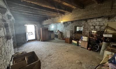 IMG_2323-Large