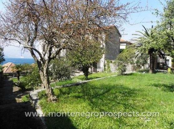 Image No.8-Maison à vendre à Dobrota