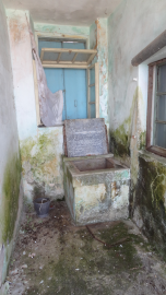 DSC02650--2-