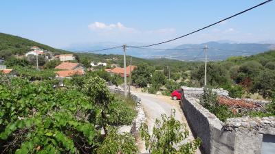 DSC02651--2-