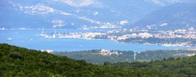 DSC02652--2-