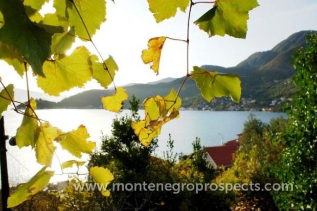 Image No.3-Maison à vendre à Tivat