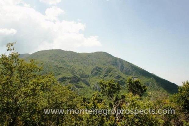 Image No.2-Plot for sale