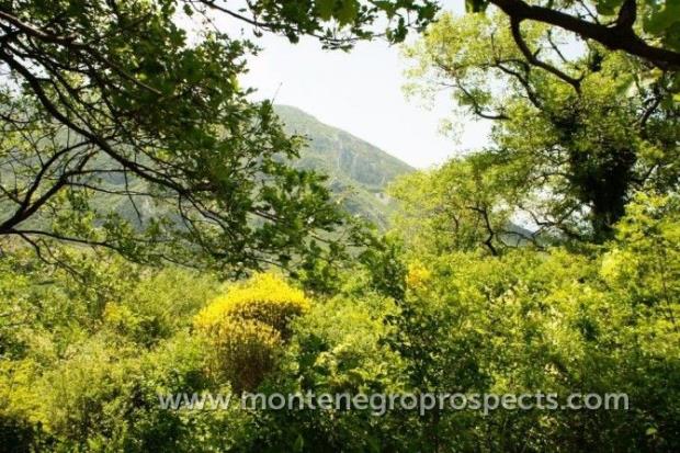 Image No.4-Plot for sale