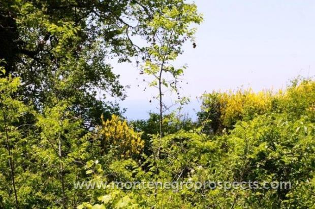 Image No.5-Plot for sale