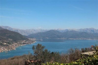 IMG_3950-670x446