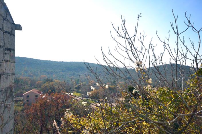 Image No.13-Terrain à vendre à Herceg Novi