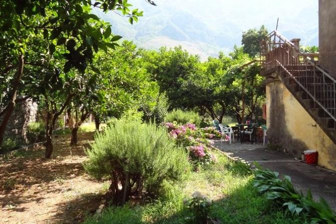 Image No.11-4 Bed House for sale