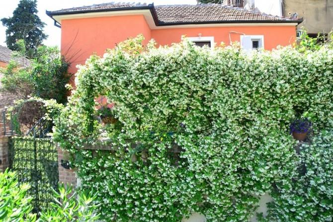 Image No.19-2 Bed House for sale