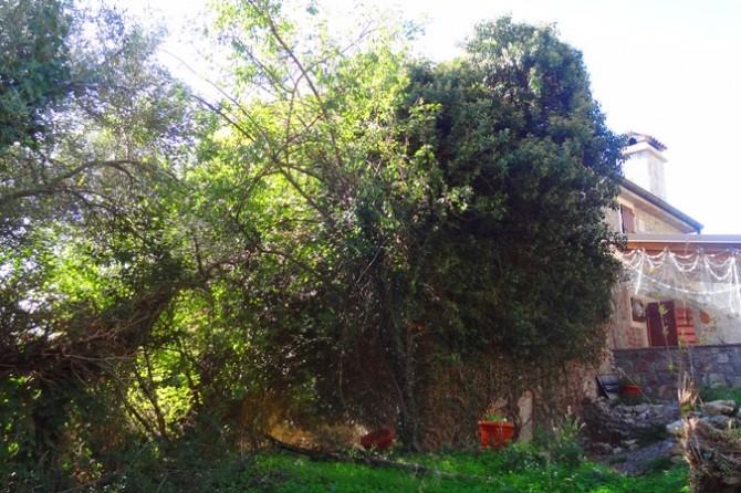 Image No.10-Terre à vendre à Tivat