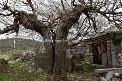 ruin-in-the-village-of-Lustica--12-