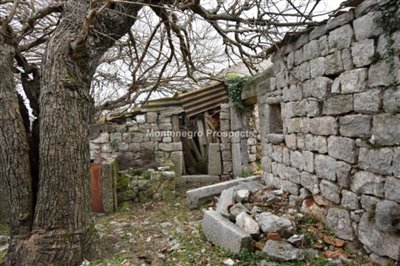 ruin-in-the-village-of-Lustica--14-
