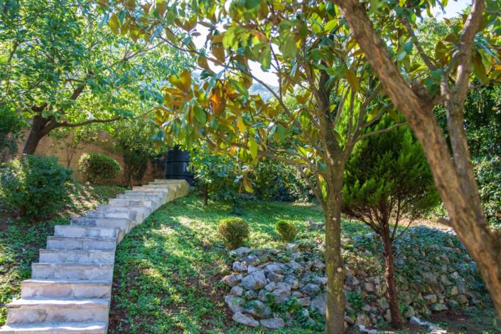 Image No.16-Villa de 4 chambres à vendre à Prcanj