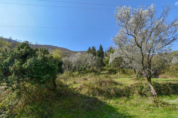 Image No.6-Plot for sale