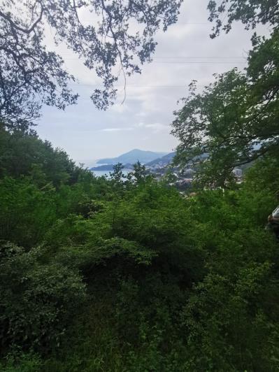 Image No.2-Plot for sale