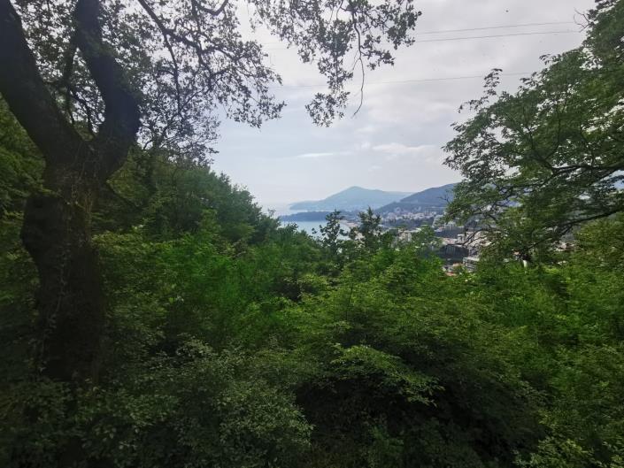 Image No.3-Plot for sale