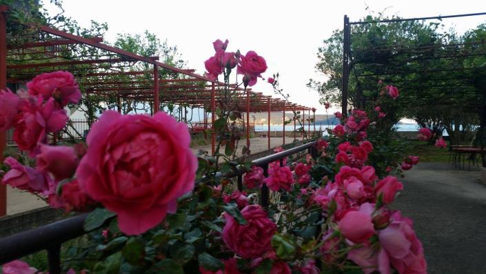 Image No.6-2 Bed House for sale