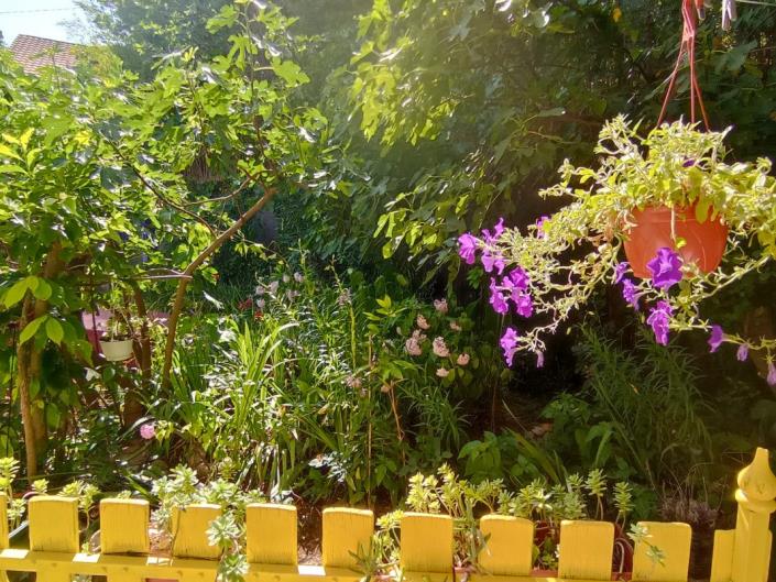 Image No.7-3 Bed Apartment for sale