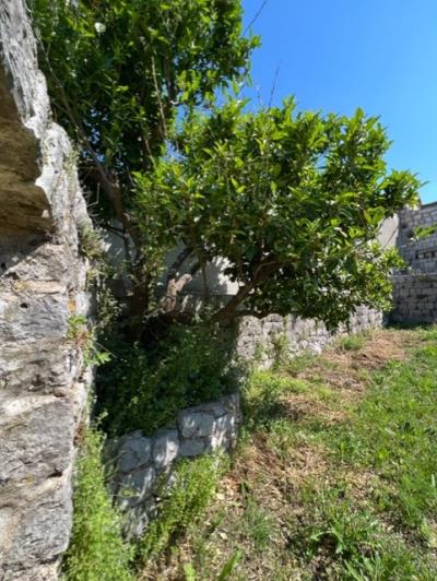 Image No.4-Maison à vendre à Tivat