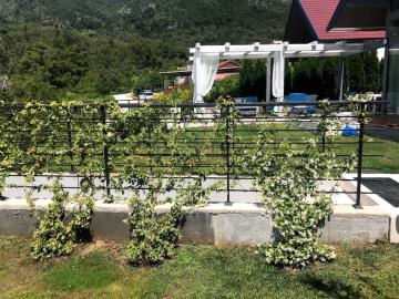 14089-Tivat-hills-house-for-sale---37-