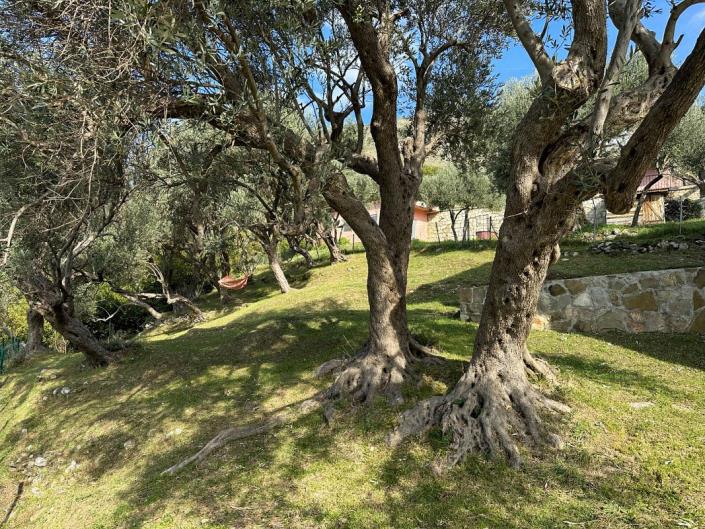 Image No.5-Villa de 4 chambres à vendre à Stari Bar