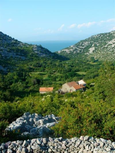 Image No.7-Village House for sale