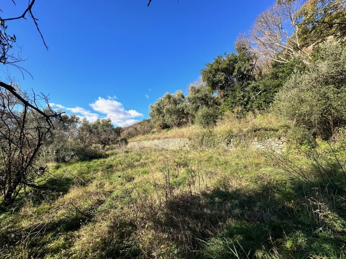 Image No.4-Terrain à vendre à Kumbor