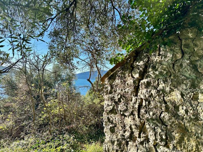 Image No.9-Terrain à vendre à Kumbor