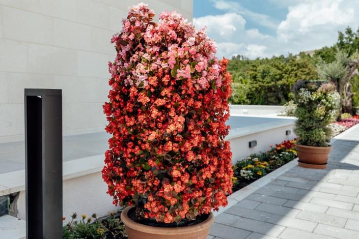 Image No.28-5 Bed Villa for sale