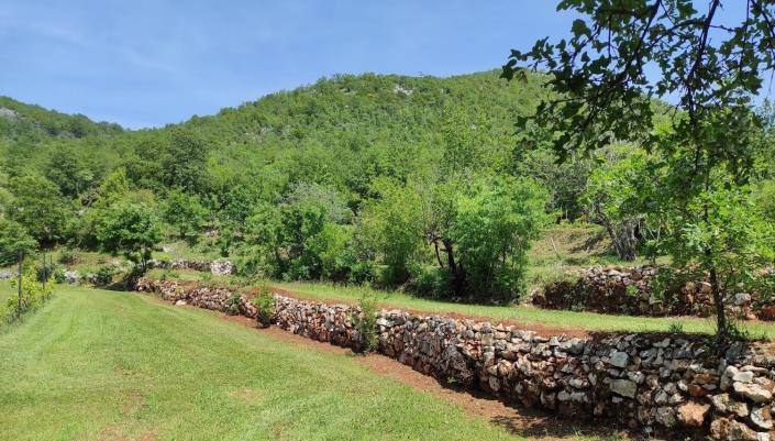 Image No.21-Ferme de 2 chambres à vendre à Cetinje