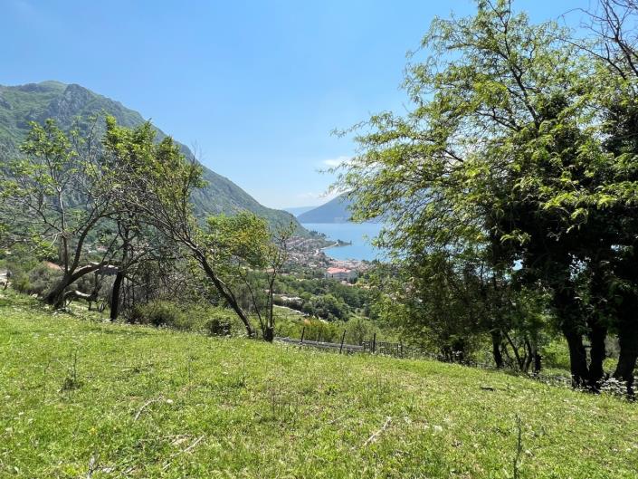 Image No.5-Terrain à vendre à Risan