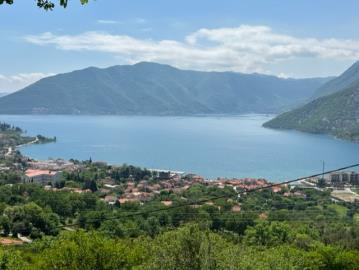 14072-Risan-plot-with-perfect-views--7-