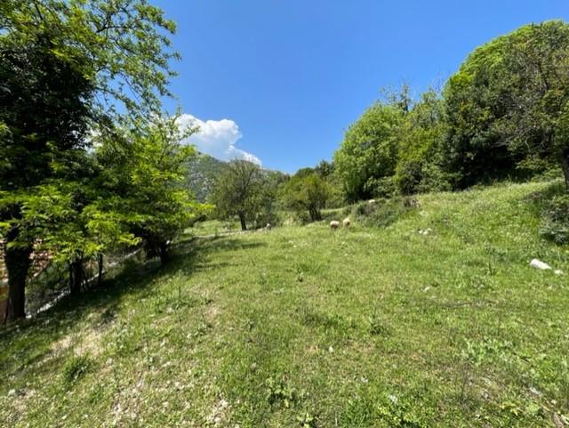 Image No.8-Terrain à vendre à Risan