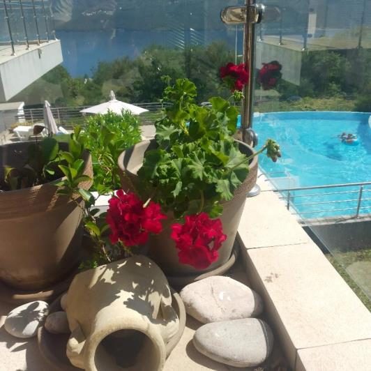 Image No.14-Appartement de 1 chambre à vendre à Ðenovici