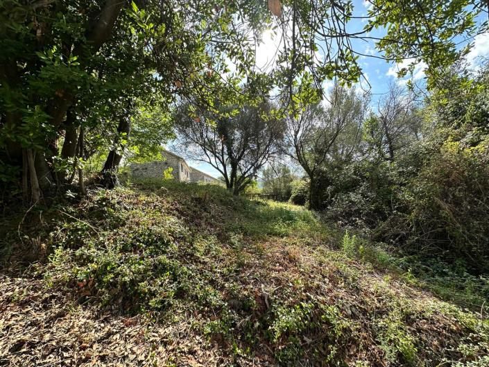 Image No.7-Terre à vendre à Zelenika