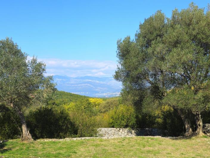 Image No.10-Ferme à vendre à Kotor