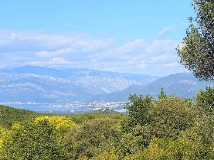 Image No.11-Ferme à vendre à Kotor