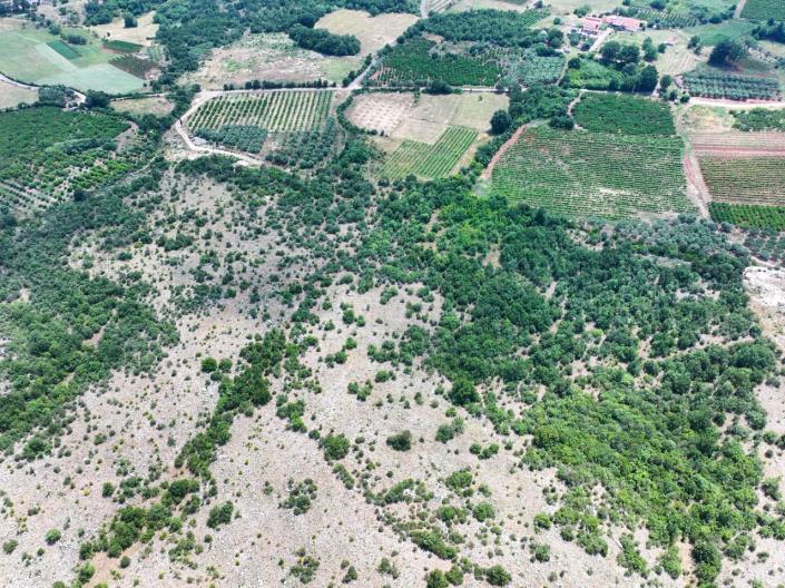 Image No.12-Land for sale
