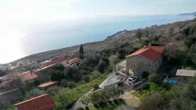19194_dron_12-jpg