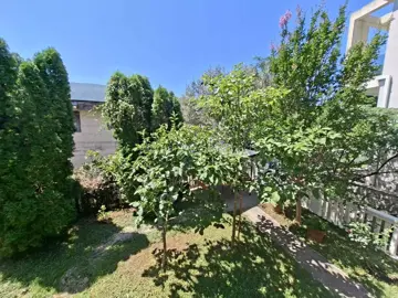 18163_13-jpg