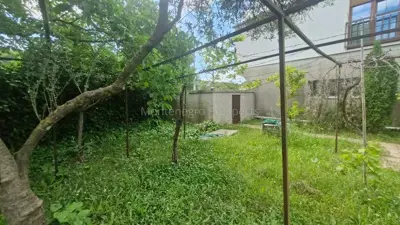 15026_house-for-renovation-grbalj_13-1--jpeg