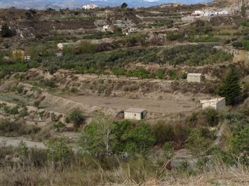 8953-land-for-sale-in-lucar-87785-large