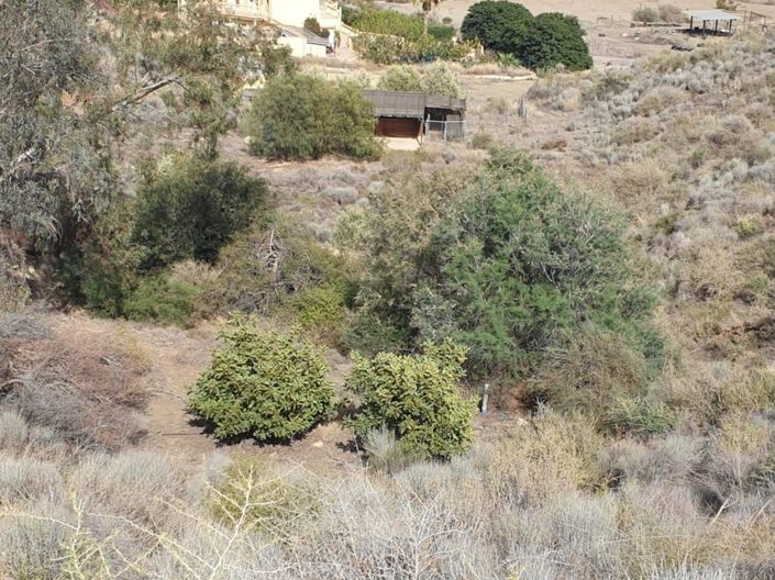 Image No.22-4 Bed Villa for sale