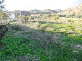 Photo 0