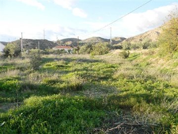 7247-land-for-rent-in-albox-5-large