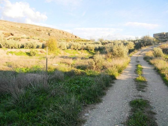 Image No.6-Land for sale