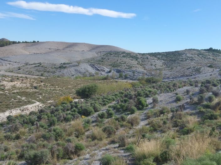 Image No.2-Land for sale