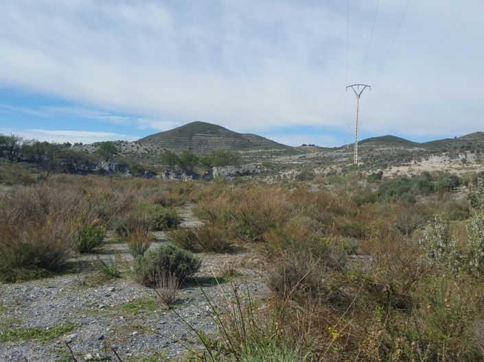 Image No.1-Terre à vendre à Lorca