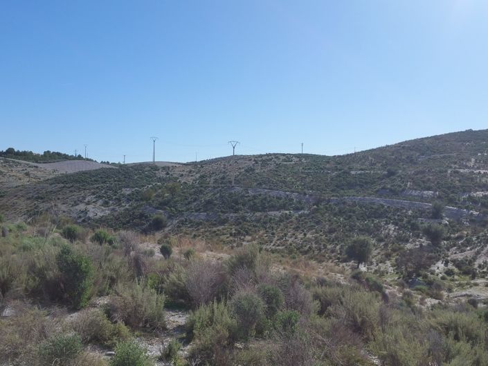 Image No.2-Land for sale